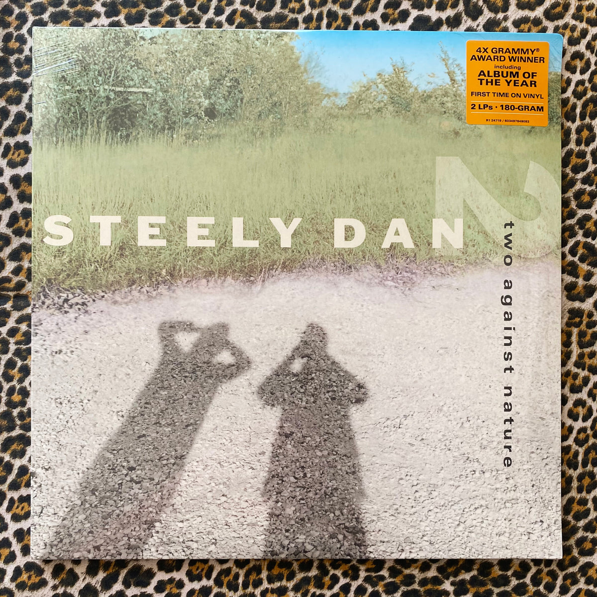 Steely Dan/Two Against Nature RSD盤 180g - 洋楽