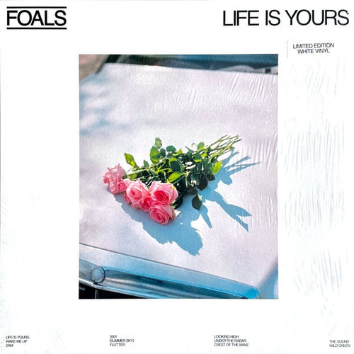 Foals: Life Is Yours 12