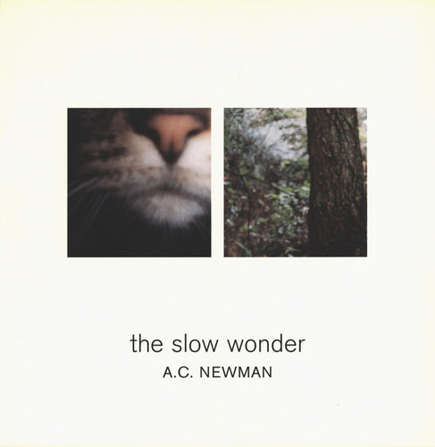 A.C. Newman: The Slow Wonder 12