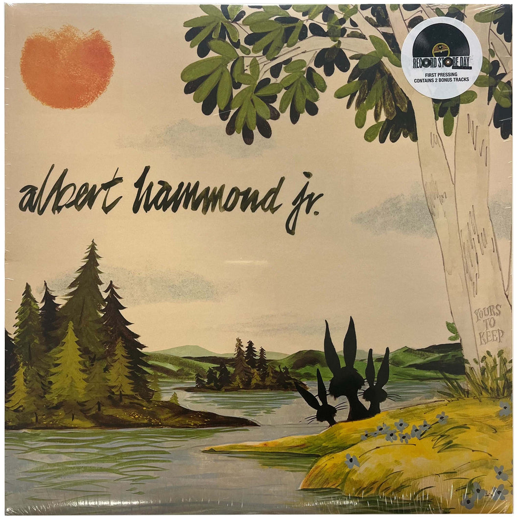 Albert Hammond, Jr.: Yours To Keep 12