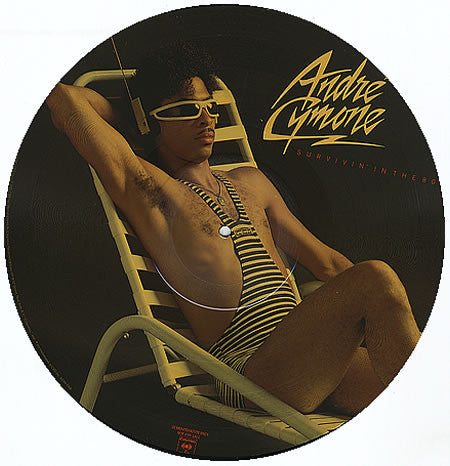 André Cymone: Survivin' In The 80's 12