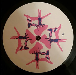 Animal Collective: Here Comes The Indian 12"