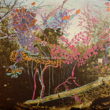 Animal Collective: Here Comes The Indian 12"