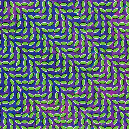 Animal Collective: Merriweather Post Pavilion 12