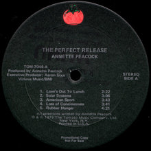 Annette Peacock: The Perfect Release 12"