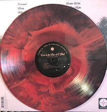 Antarctigo Vespucci: Love in the Time of E-mail 12"