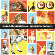 Bloodhound Gang: Hooray For Boobies 12"