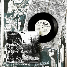 Cicada: Wicked Dream 7"