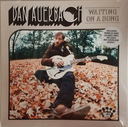 Dan Auerbach: Waiting On A Song 12