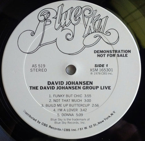 David Johansen Group: The David Johansen Group Live 12