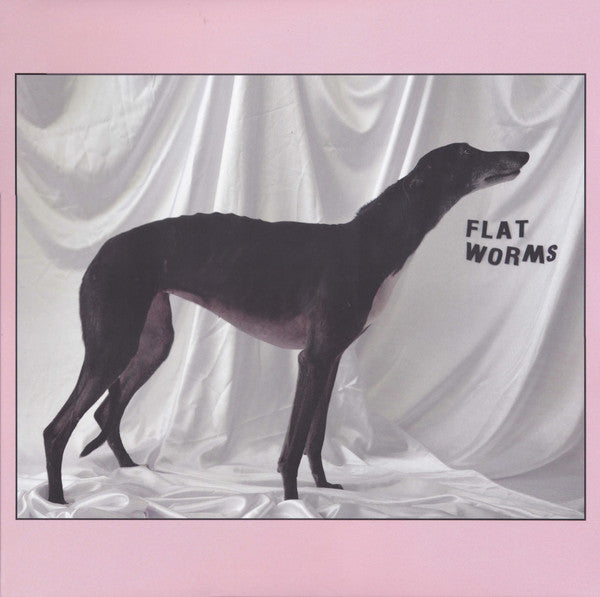 Flat Worms: S/T 12