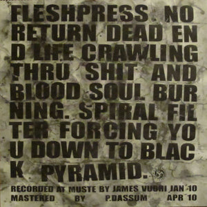 Fleshpress: No Return 12"