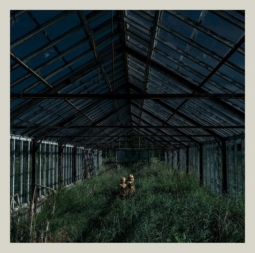 Foxing: Dealer 12