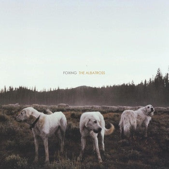 Foxing: The Albatross 12