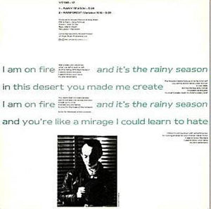 Howard Devoto: Rainy Season 12"