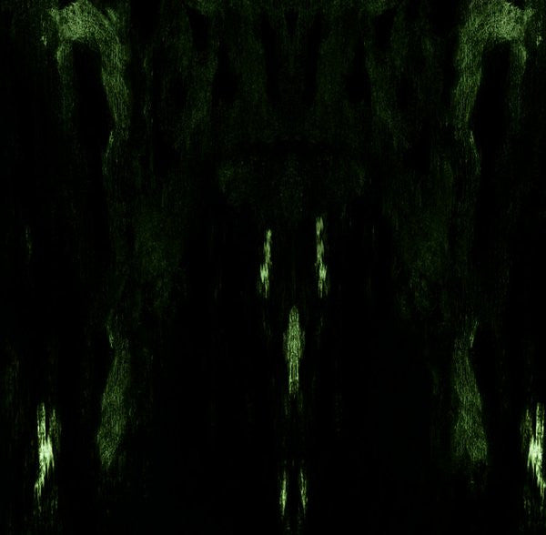 Impetuous Ritual: Unholy Congregation Of Hypocritical Ambivalence CD