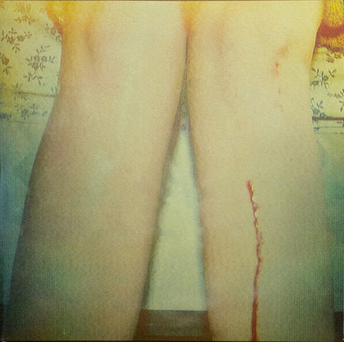 Los Campesinos!: Romance Is Boring 12