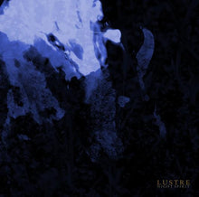 Lustre: Night Spirit 12"