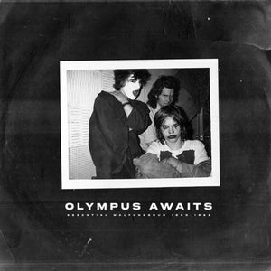 Malfunkshun: Olympus Awaits 12" (RSD 2024)