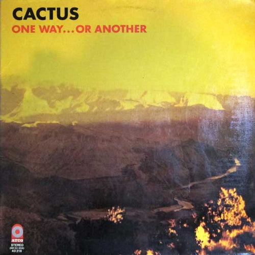 Cactus: One Way...Or Another 12