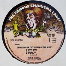 Peter Hammill: Chameleon In The Shadow Of The Night 12"