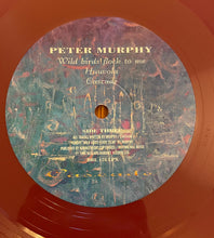 Peter Murphy: Cascade 12"