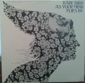 Rare Bird: As Your Mind Flies By 12"