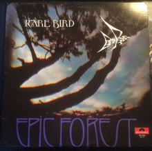 Rare Bird: Epic Forest 12"