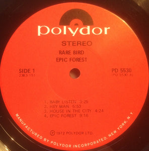 Rare Bird: Epic Forest 12"