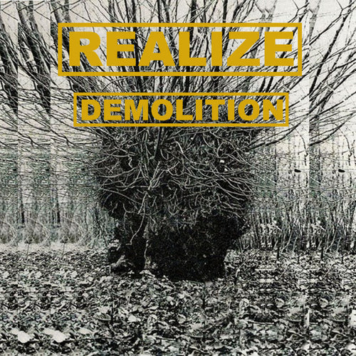 Realize: Demolition 12