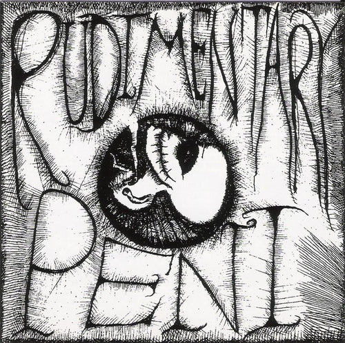 Rudimentary Peni: The E.P.'s Of R.P. CD