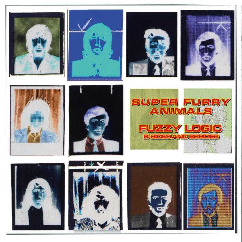 Super Furry Animals: Fuzzy Logic (B-Sides & Besides) 12