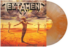 Testament: Practice What You Preach 12"