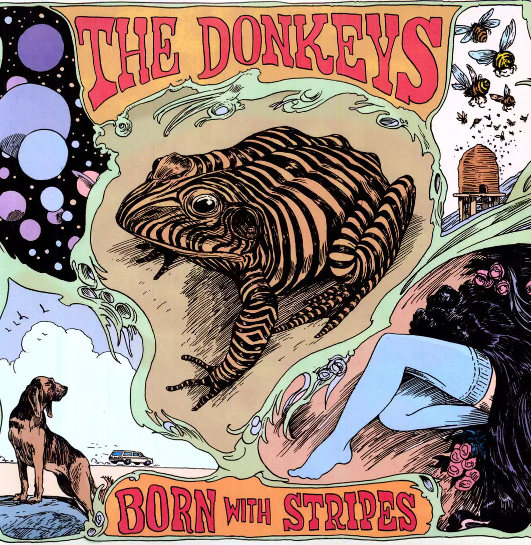 The Donkeys: Born With Stripes 12