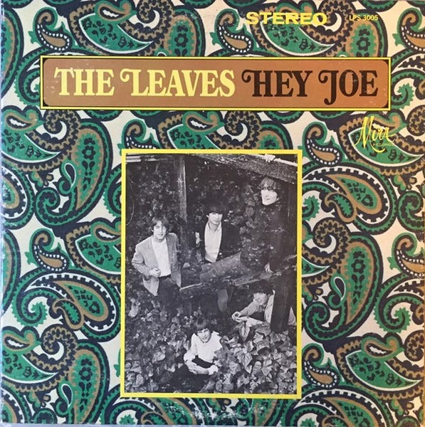 The Leaves: Hey Joe 12