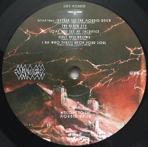 Vader: Welcome To The Morbid Reich 12"