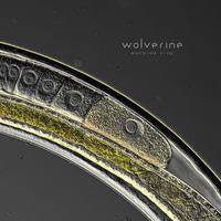 Wolverine: Machina Viva CD