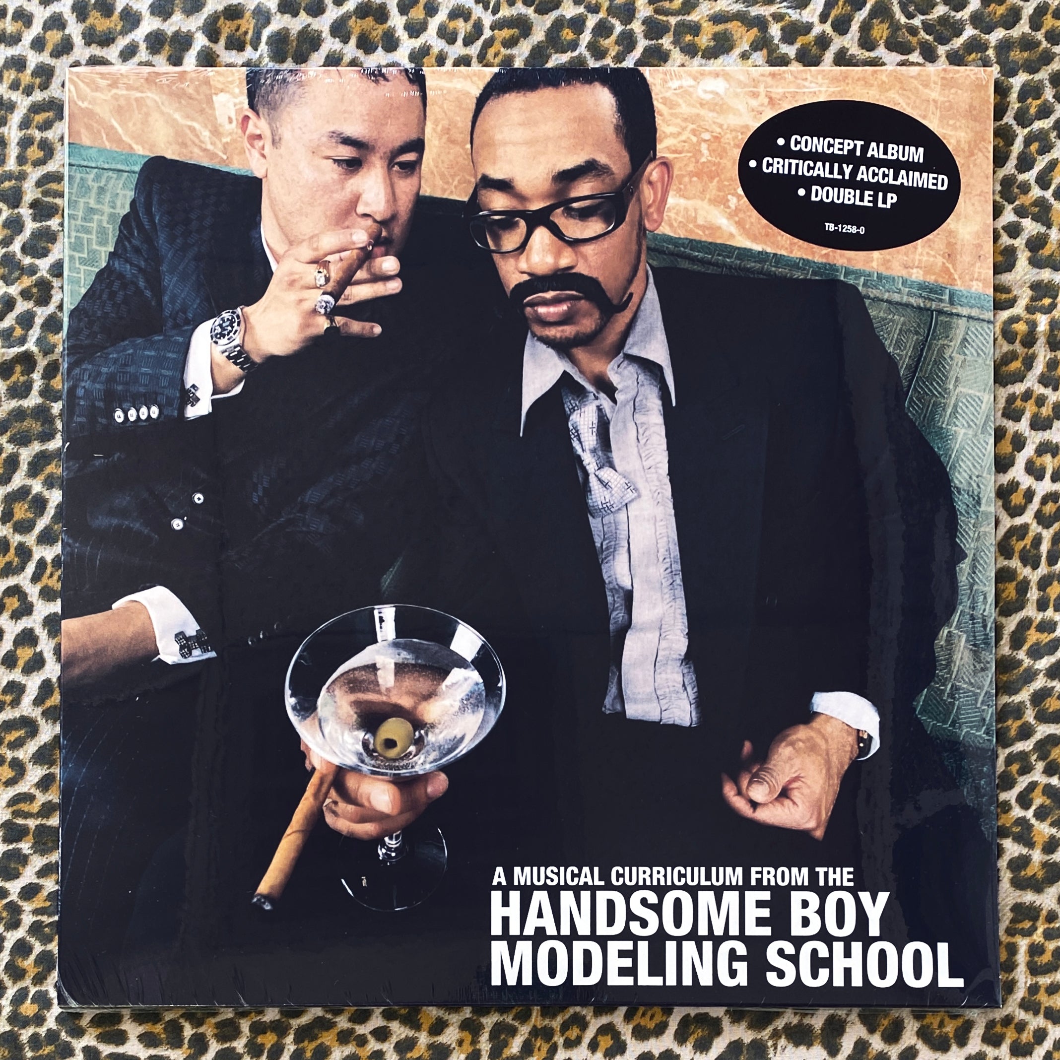 Handsome Boy Modeling School: So, How's Your Girl? 12