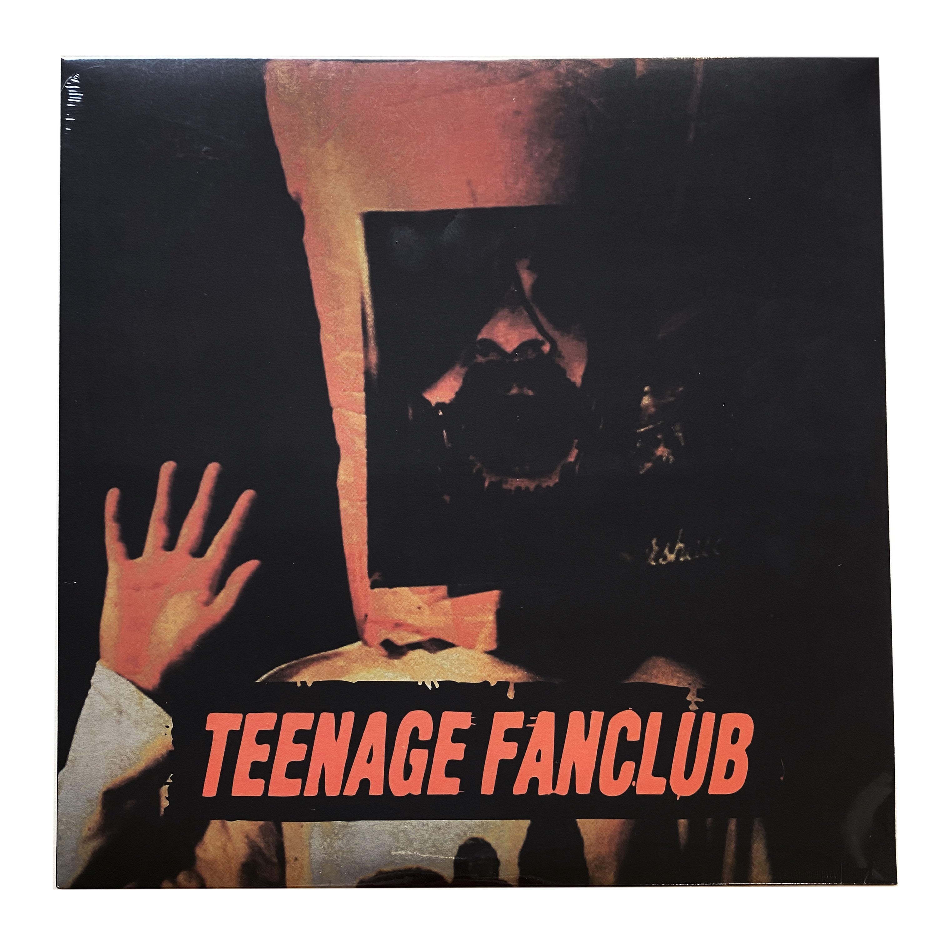 Teenage Fanclub Deep Fried Fanclub 12