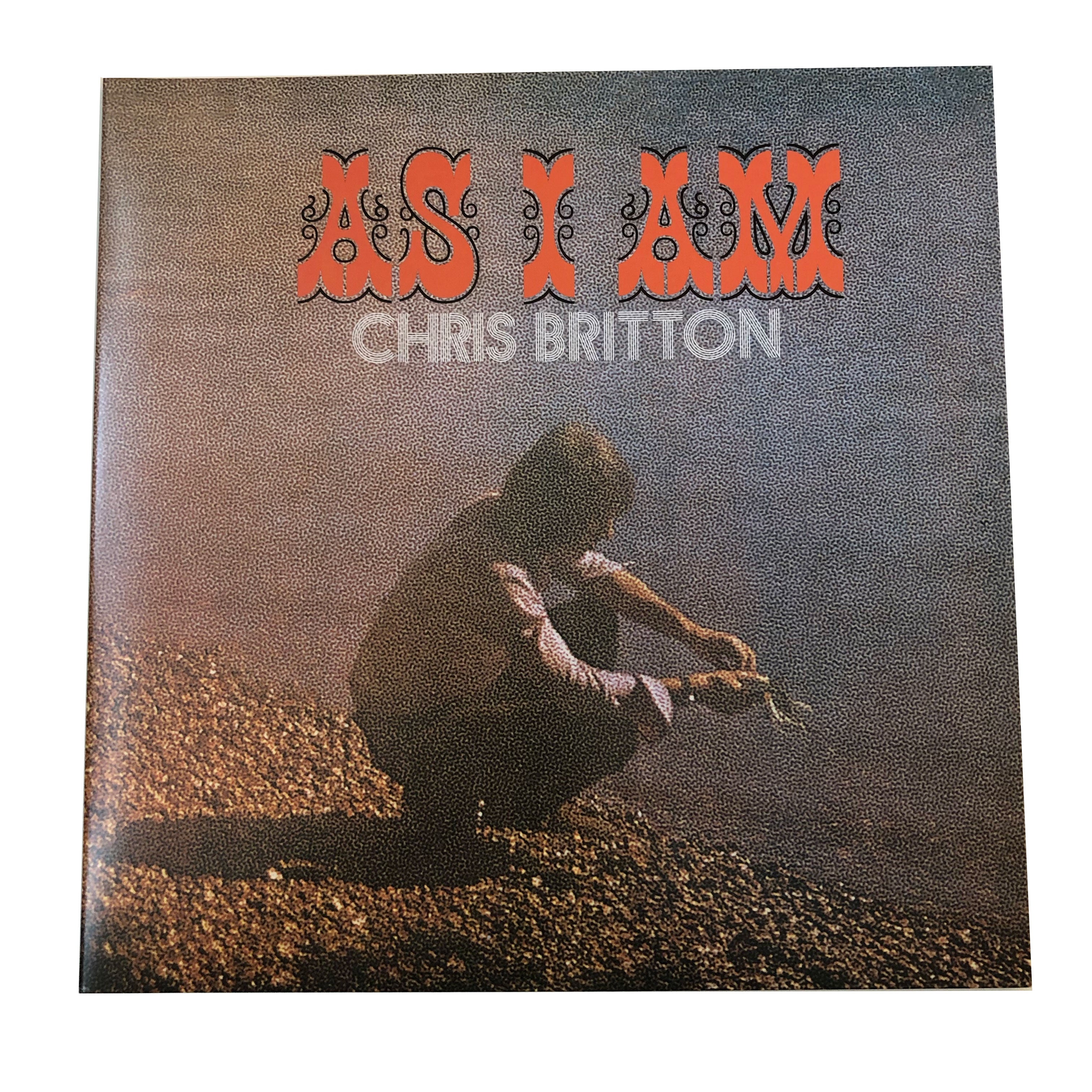 CHRIS BRITTON AS I AM - 洋楽