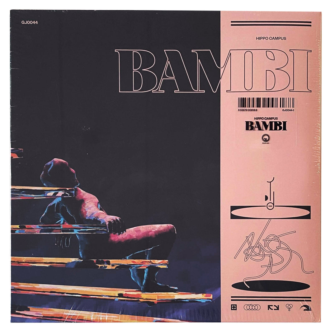 Hippo Campus: Bambi 12